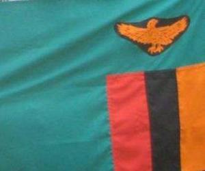 yapboz Zambiya bayrağı